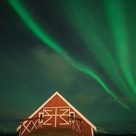 Northern Light And Midnight Sun Paradise