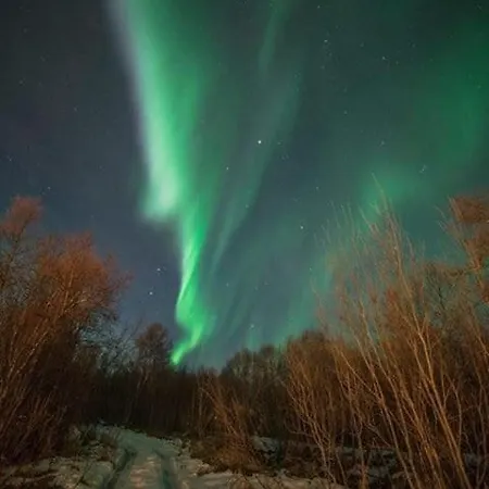 Appartamento Northern Light And Midnight Sun Paradise