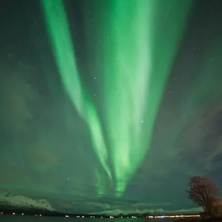 Northern Light And Midnight Sun Paradise *