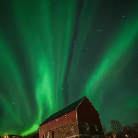 Northern Light And Midnight Sun Paradise Appartamento Tromsø