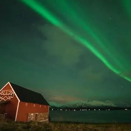 Northern Light And Midnight Sun Paradise Appartamento *